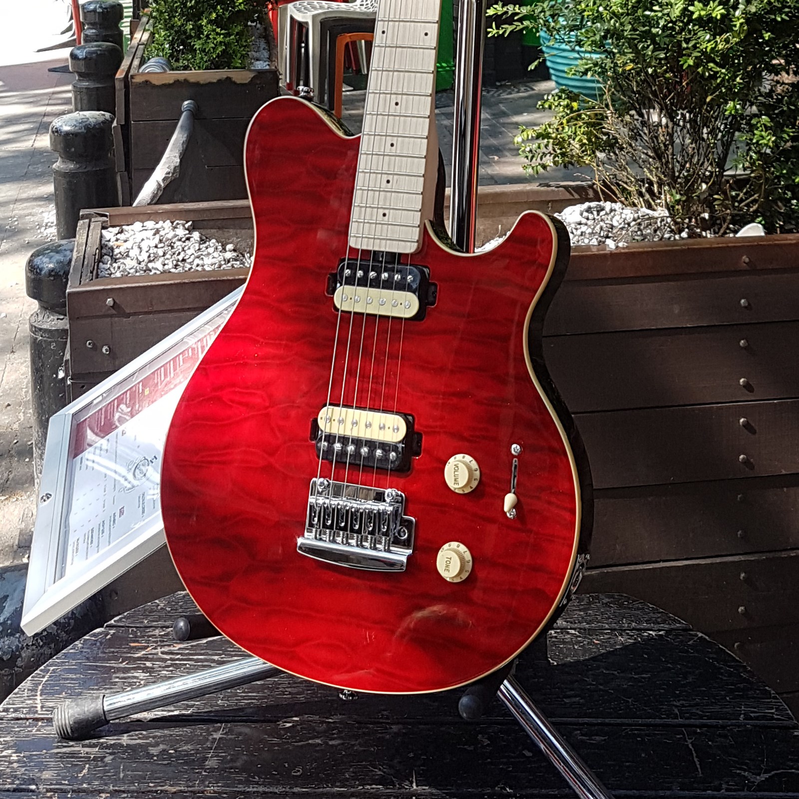 Sterling by Musicman AX3 Electric Guitar Tran ....