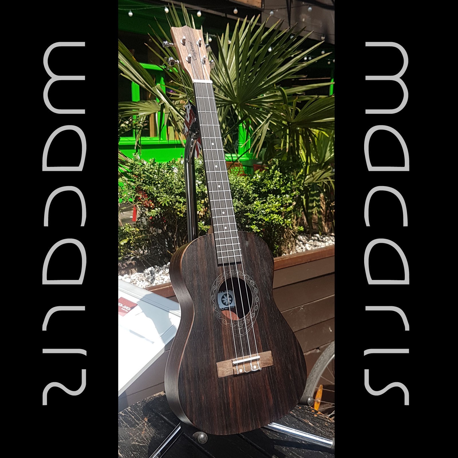 Tanglewood TWT20 Tiare Baritone