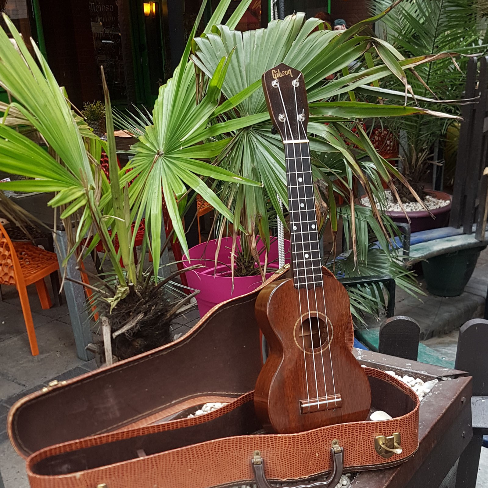 Gibson style 1 c 1955