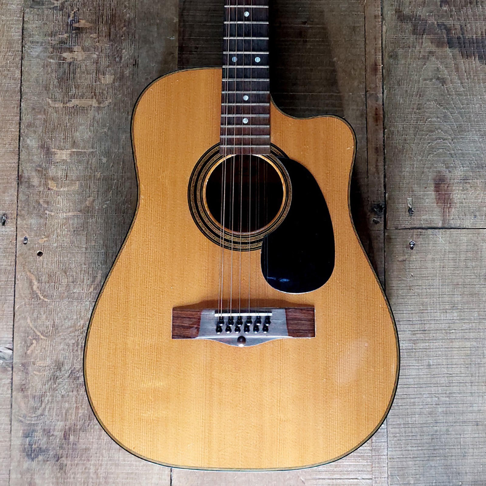 1979 Levin 12 string