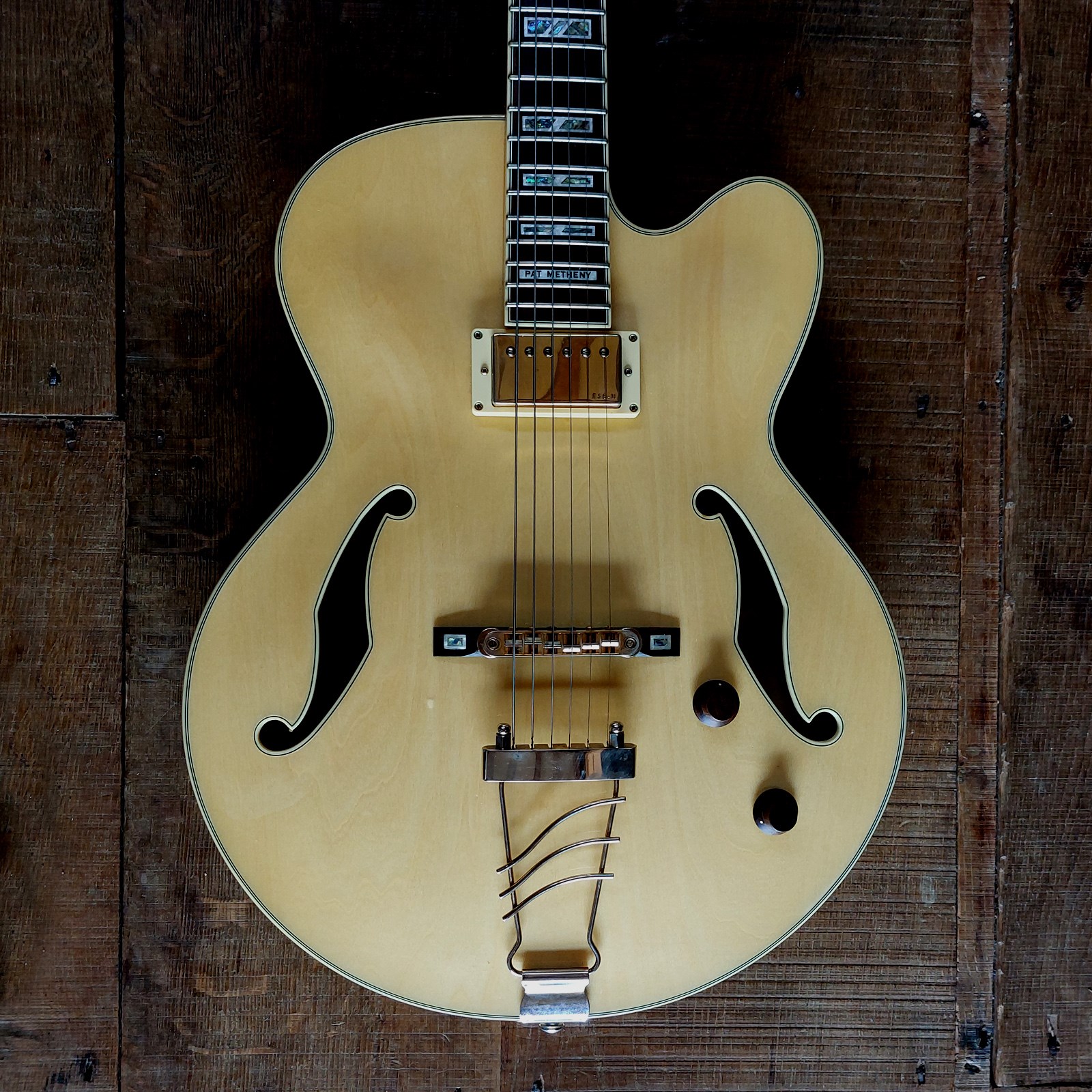 Ibanez Pat Metheny