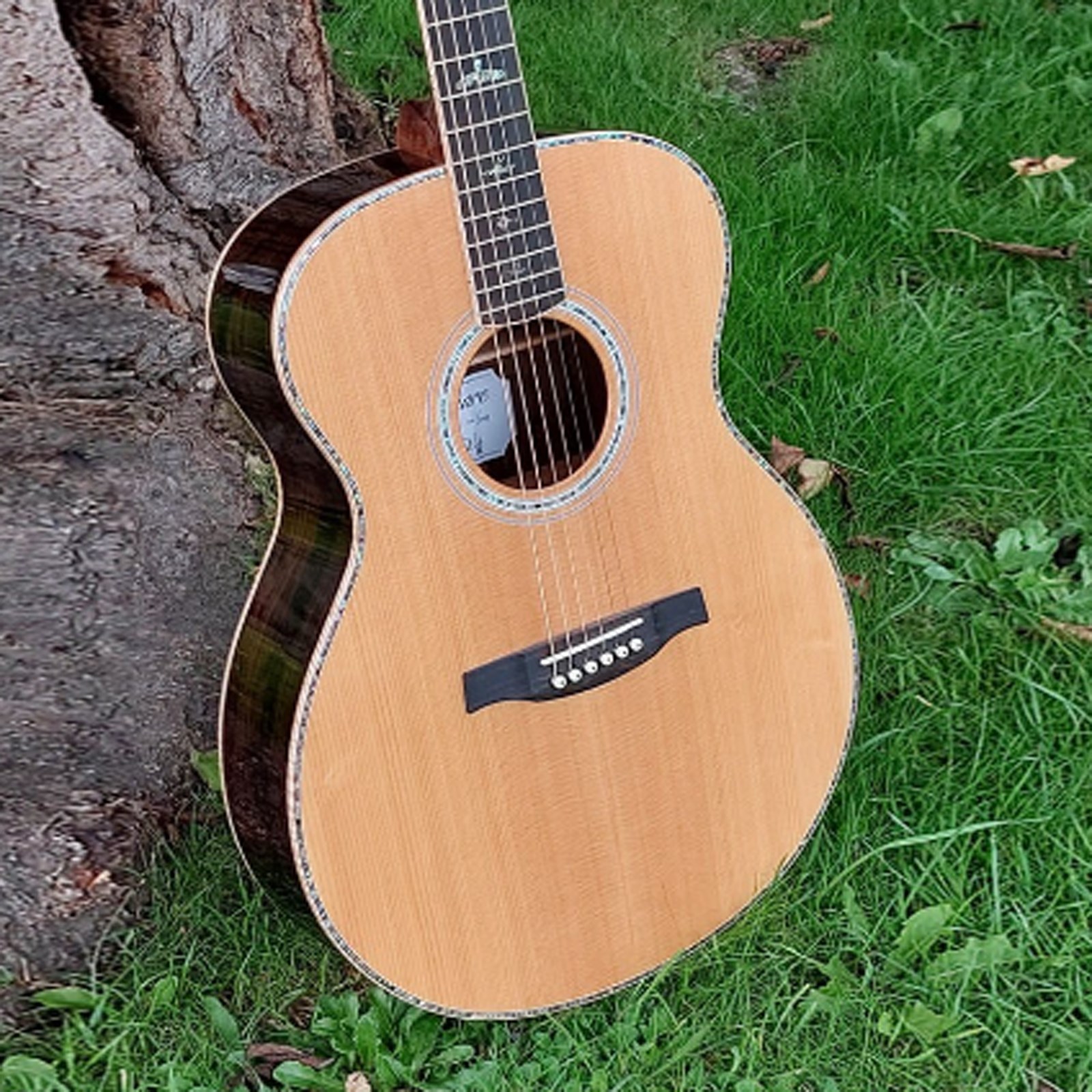 PRS SE T60E